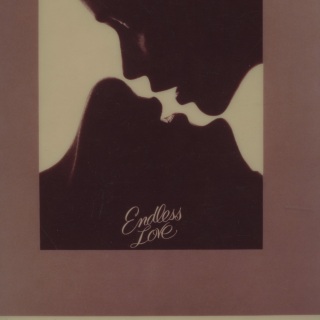 EndlessLovePoster(Crop)