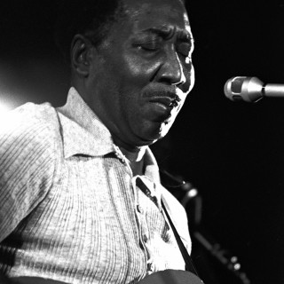 Muddy Waters