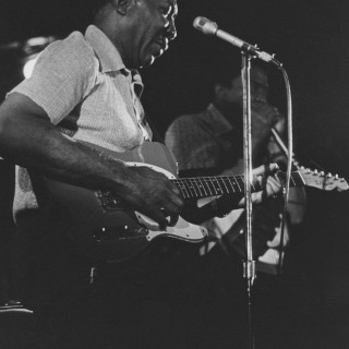 Muddy Waters