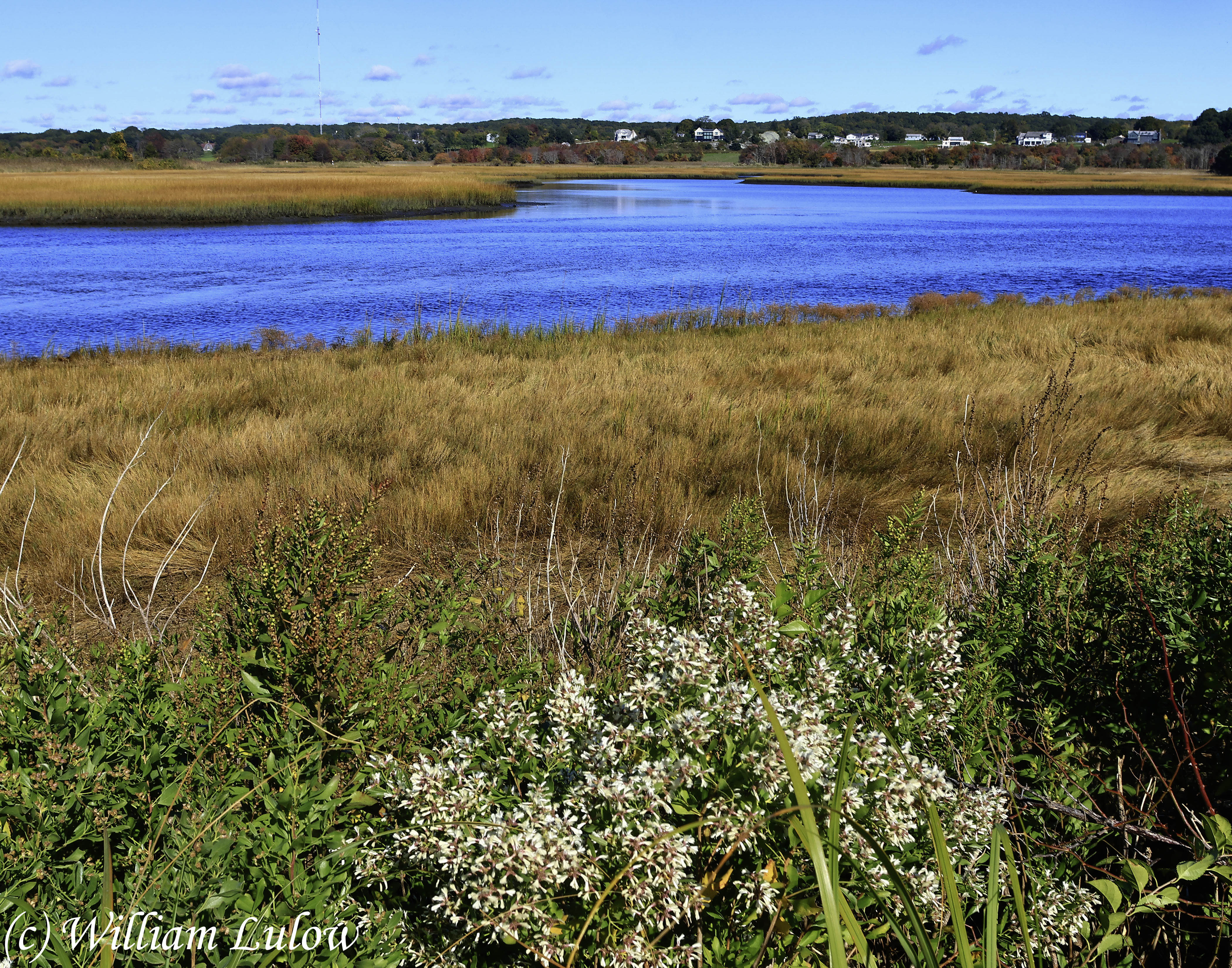 RhodeIsland26_0045