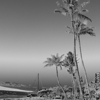 BWPalm_Maui_0560