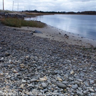 EastHamptonRockyBeach(c)