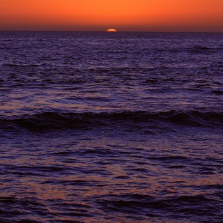Florida_0237R