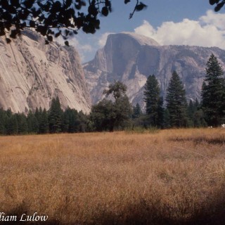 Half-Dome