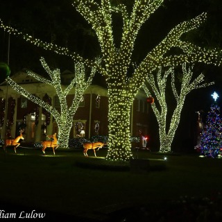 Houston_ChristmasLights_0011-1