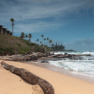 Kauai_WED_0093