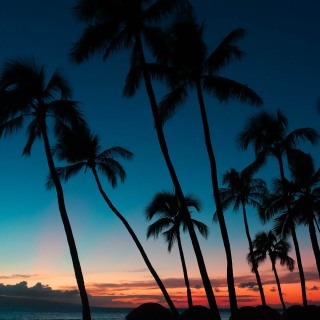 MauiSunset_643SM