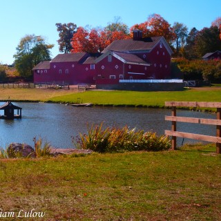 RhinebeckBarn_0003R