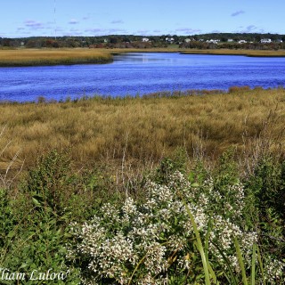 RhodeIsland26_0045