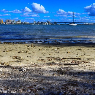 SarasotaLBK_0035EC-1