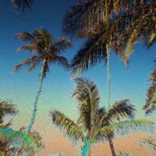 Palms_FtLauderdale133(SolarizedExtrusion)